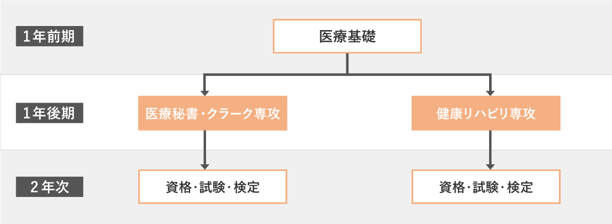 1年前期は医療基礎、1年後期は各専攻、2年次は資格・試験・検定