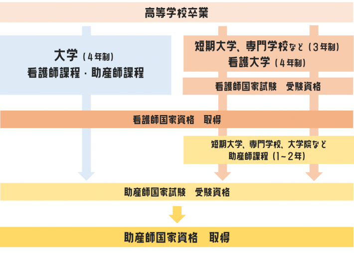 看護師 准看護師 助産師 保健師 ４つの看護職 鳥取市医療看護専門学校