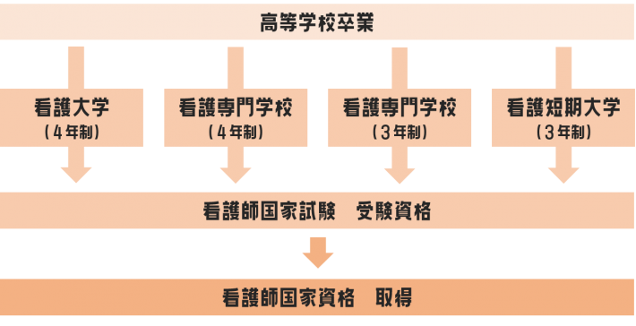 看護師 准看護師 助産師 保健師 ４つの看護職 鳥取市医療看護専門学校